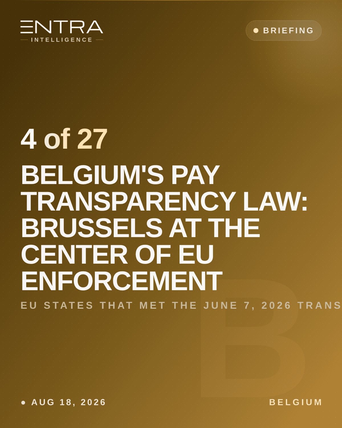 Belgium's Pay Transparency Law: Brussels at the Center of EU Enforcement